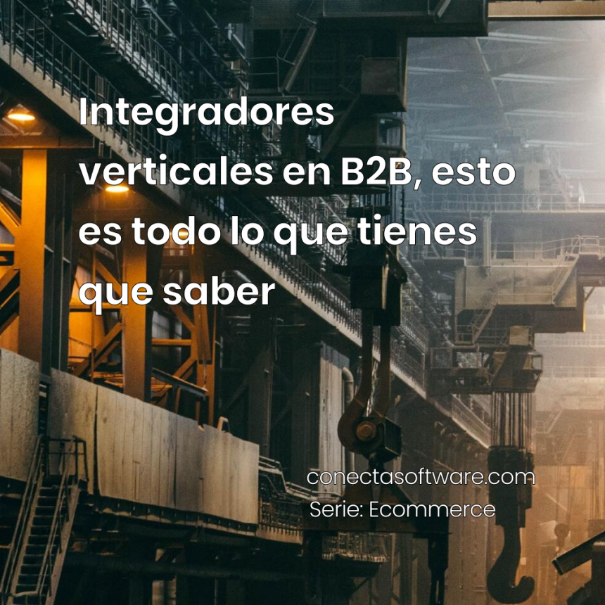 Integradores verticales en B2B, esto es todo lo que tienes que saber