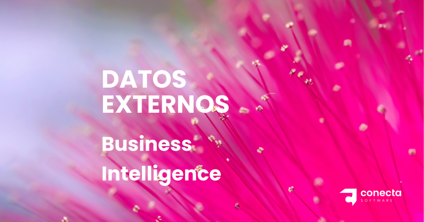 datos externos business intelligence